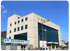 본점